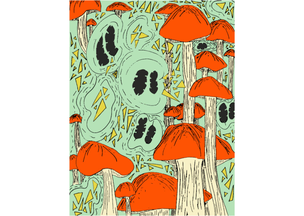 Fungi&Fauve_ Color